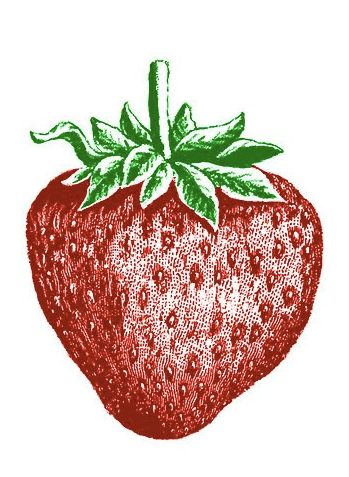 Archivist - Strawberry