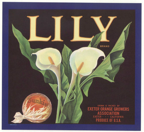 $T2eC16h,!)0E9s37IeSMBQV5Q0JRgw~~60_12