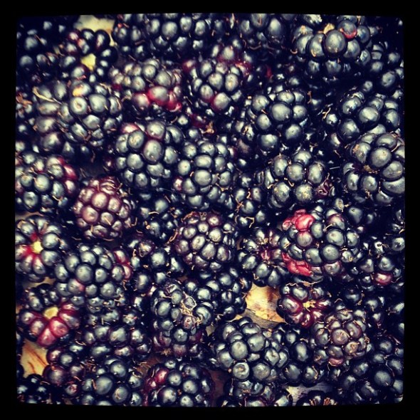 129abe640e8811e380a722000a9e28dc_7